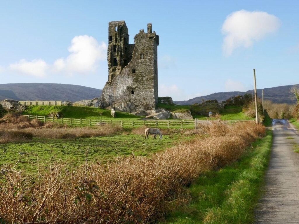 Own a piece of history: 464-year-old Castle Donovan in Cork, Ireland, for sale at £170,000. Boasting a 60ft tower and 3 acres, this ancient fortress needs major restoration.