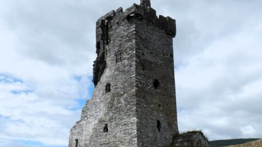 Own a piece of history: 464-year-old Castle Donovan in Cork, Ireland, for sale at £170,000. Boasting a 60ft tower and 3 acres, this ancient fortress needs major restoration.