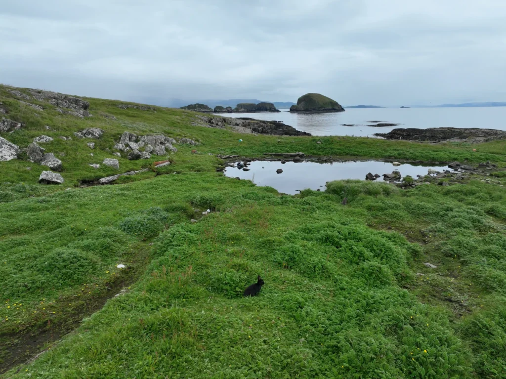 Magical Fladda-Chuain island off Skye's coast is for sale at £190,000. Uninhabited and pristine, this 69.99-acre island features stunning views, wildlife, and ancient shipwrecks.