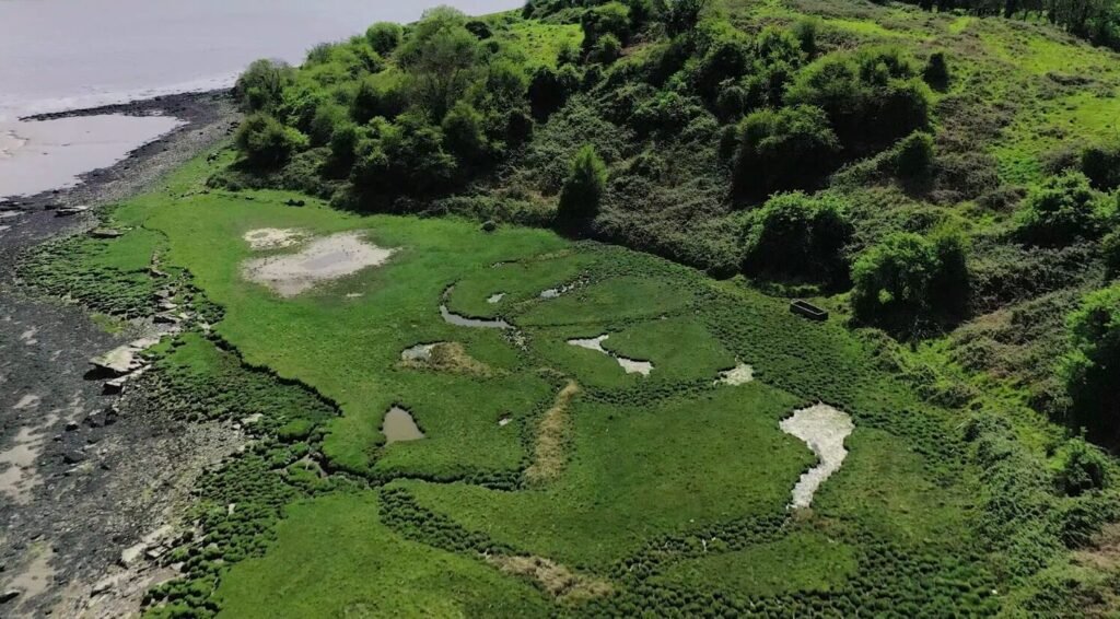 Escape to your own 30-acre island paradise in Ireland’s Shannon Estuary for just £722,000. Perfect for farming, exploring, and a unique investment opportunity.