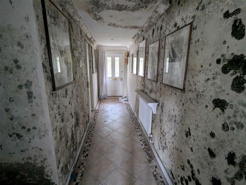 Mould-riddled Rochester home hits the market for £230,000, with damp so severe it was mistaken for wallpaper online. Property set for auction on 12 September.