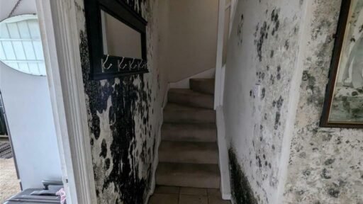 Mould-riddled Rochester home hits the market for £230,000, with damp so severe it was mistaken for wallpaper online. Property set for auction on 12 September.