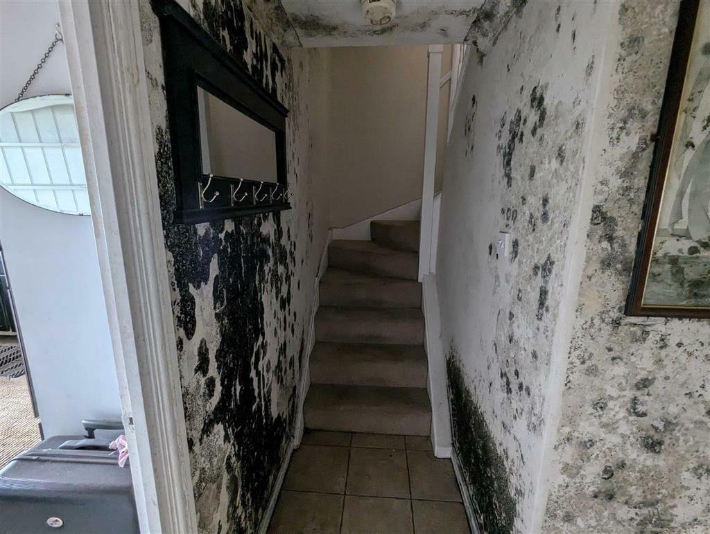 Mould-riddled Rochester home hits the market for £230,000, with damp so severe it was mistaken for wallpaper online. Property set for auction on 12 September.