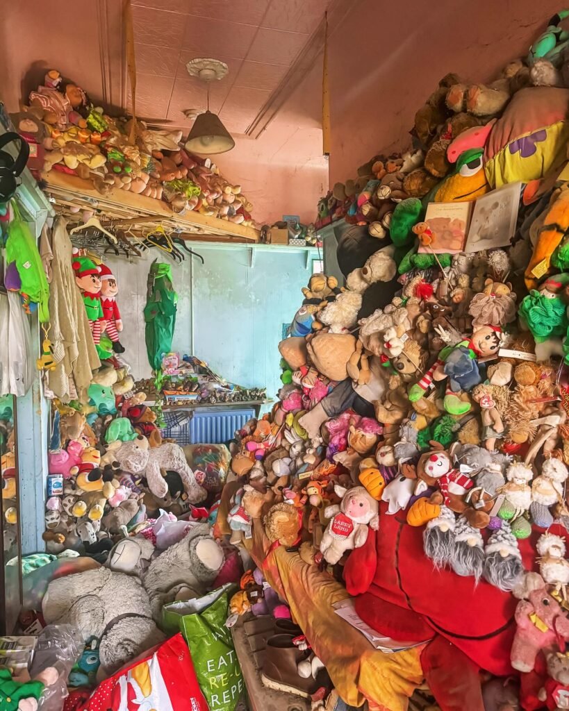 Explorer Ben Stevens uncovers abandoned Cambridgeshire home filled with 20,000 stuffed animal toys. Once a normal suburban house, now an eerie, toy-filled wonder.