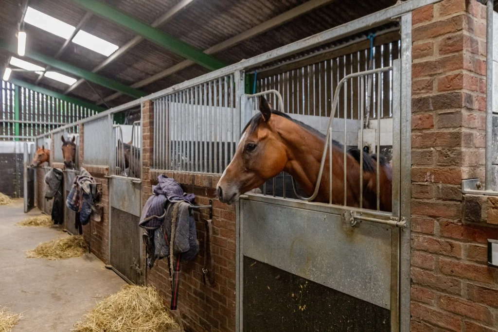 Discover Arthington Barn Stables—a 23-acre equestrian haven in North Yorkshire with 55 stables, gallops, a 3-bedroom house, and development potential. On the market now.