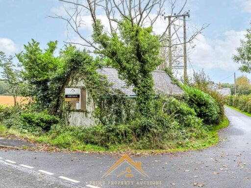 A former telephone exchange in Duns, Scotland, listed for just £8,000 offers a rare development opportunity with stunning nature views, but needs full renovation.