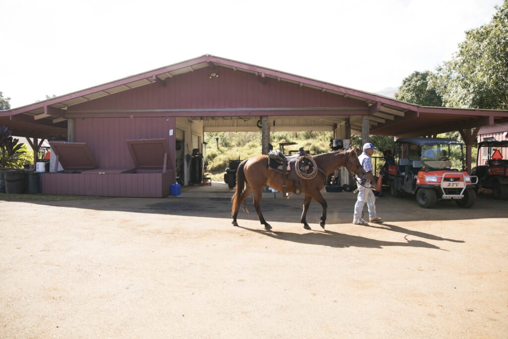 Hāna Ranch, a stunning 3,000-acre property in Maui, Hawaii, featuring ocean views, orchards, and equestrian facilities, is on the market for $75M, offering a serene, storybook setting.