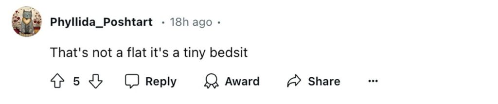 Social media comment on the post of Tiny one-bed flat in London listed for £100,000 raises eyebrows for its compact 9.75m² size, marketed as 'ideal for couples' despite only fitting a single bed. Cash buyers only.