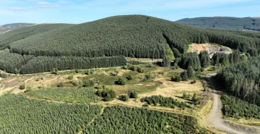 2,320-acre Norwood Forest, producing premium timber, listed for £19.5M in Scotland. Offers immediate income potential and wind farm interest in prime location.