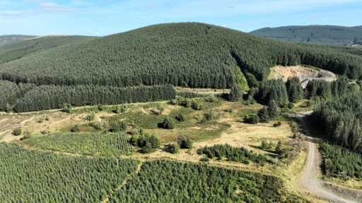 2,320-acre Norwood Forest, producing premium timber, listed for £19.5M in Scotland. Offers immediate income potential and wind farm interest in prime location.