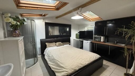 Tiny £800 Essex flat sparks outrage: Bed crammed between shower and fridge in bizarre studio listing. Perfect for minimalists or tiny home enthusiasts!