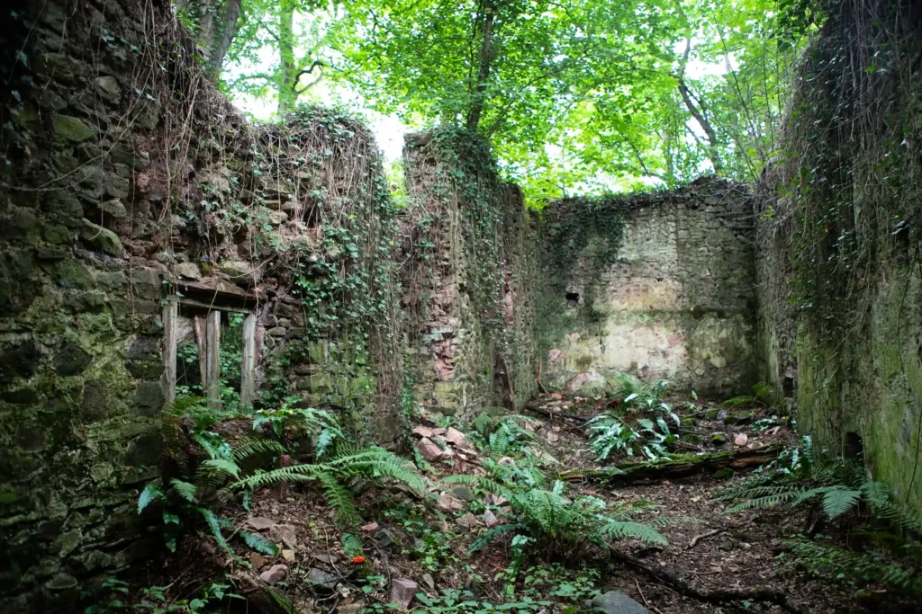 Historic Somerset mill from Bryan Adams’ iconic music video hits market for £75,000 - set in 1.5 acres with river, woods and poetic past, but not for living in.