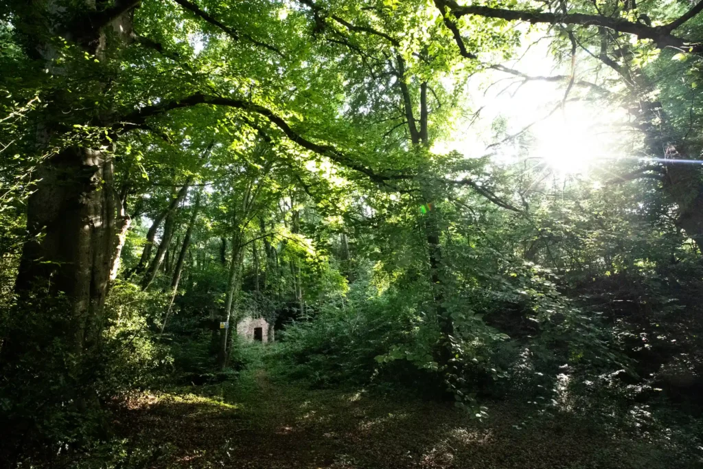Historic Somerset mill from Bryan Adams’ iconic music video hits market for £75,000 - set in 1.5 acres with river, woods and poetic past, but not for living in.