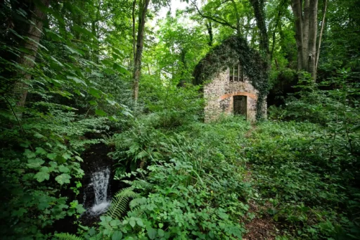 Historic Somerset mill from Bryan Adams’ iconic music video hits market for £75,000 - set in 1.5 acres with river, woods and poetic past, but not for living in.