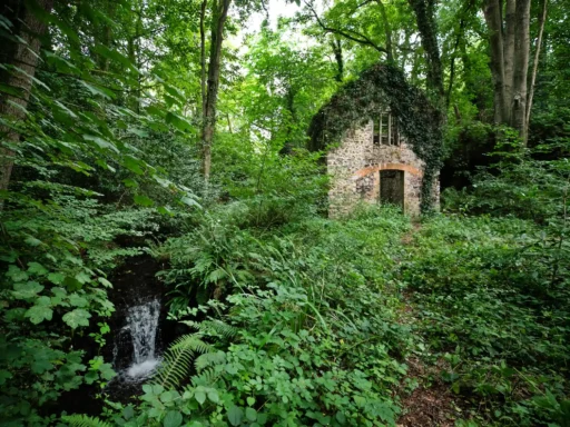Historic Somerset mill from Bryan Adams’ iconic music video hits market for £75,000 - set in 1.5 acres with river, woods and poetic past, but not for living in.