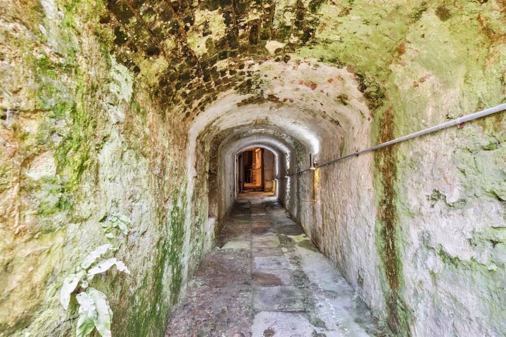 A Georgian townhouse in Devon with a secret tunnel, wine store, and historic well is on the market for £475,000, offering charm, character, and a touch of mystery.
