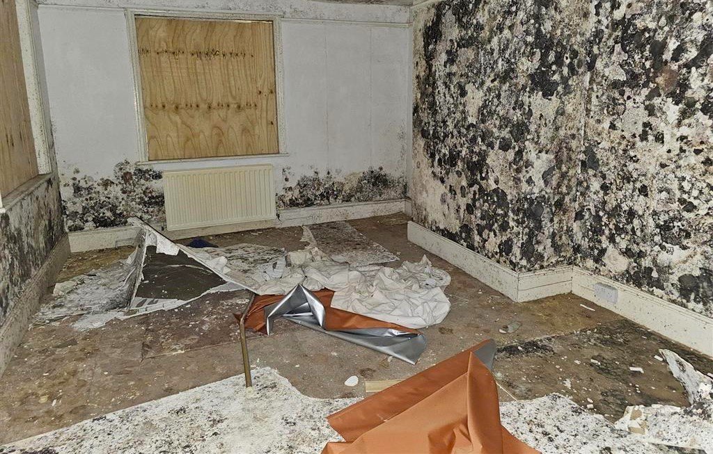 A £450,000 Winchester home with boarded windows, blackened walls and renovation needs is up for auction, with buyers advised to bring a torch and wear sturdy shoes.