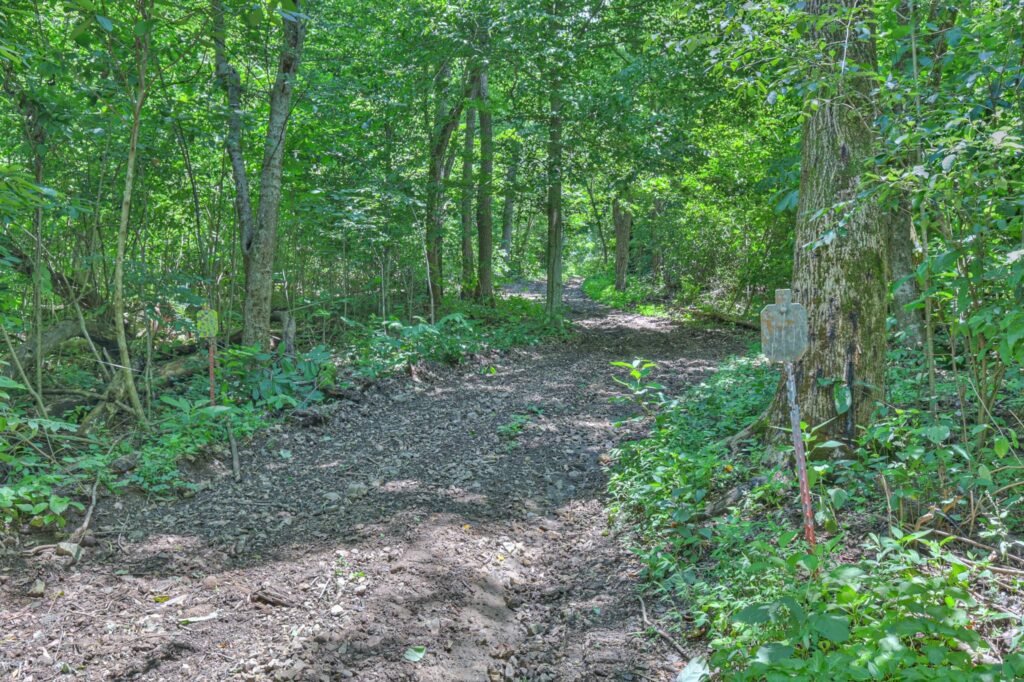 A \$1.75m Tennessee estate with a modern home hides a 60,000 sq ft underground cave system and camouflaged bunker, offering security, privacy and rare investment potential.