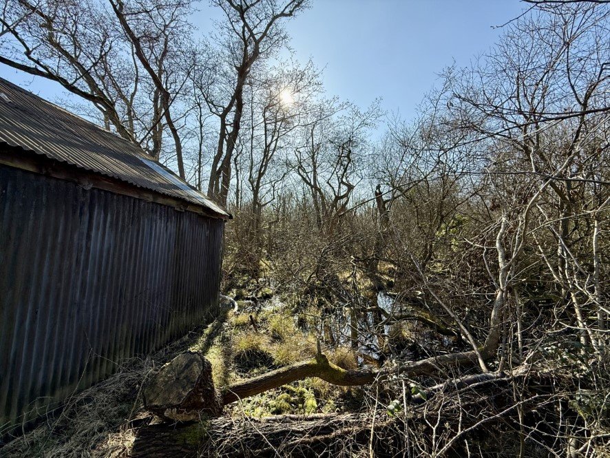A rundown former boathouse in Horning, Norfolk Broads, with peeling paint and a rusty roof, is up for sale at £25,000, offering restoration potential in a scenic location.