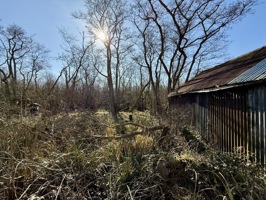 A rundown former boathouse in Horning, Norfolk Broads, with peeling paint and a rusty roof, is up for sale at £25,000, offering restoration potential in a scenic location.