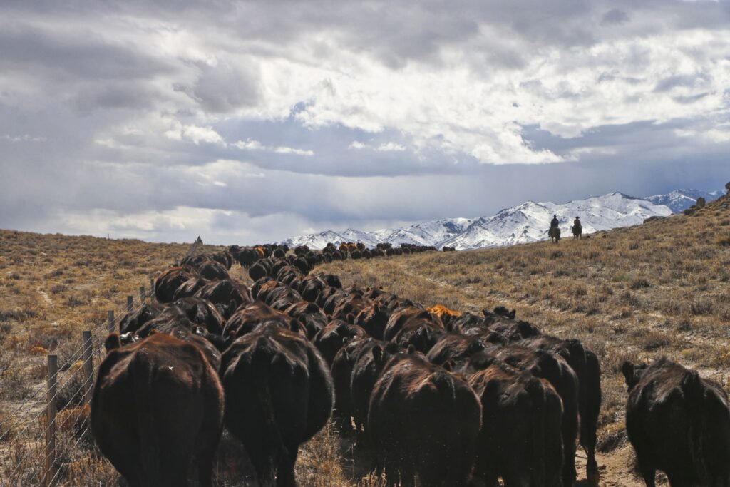 Pathfinder Ranch in Wyoming spans 916000 acres with rivers historic trails cattle operations and a main lodge now listed for \$79.5m offering a rare legacy ownership opportunity.