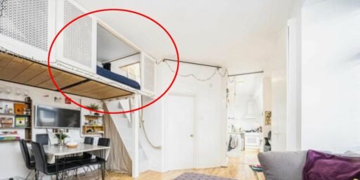 A quirky Bloomsbury studio flat costs £2,295 a month with a hidden mezzanine bedroom, rooftop terrace and period charm but no parking, pets or bills included.