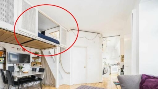 A quirky Bloomsbury studio flat costs £2,295 a month with a hidden mezzanine bedroom, rooftop terrace and period charm but no parking, pets or bills included.