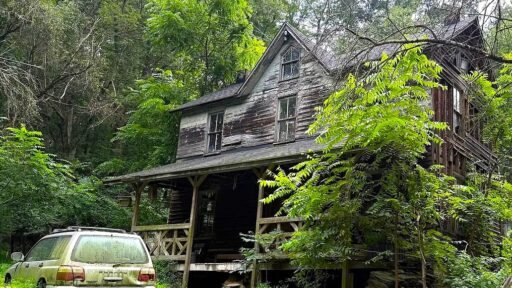 Dilapidated \$300k Maryland home overrun by feral cats and raccoons hits the market with boarded windows and warnings but nearly five acres of rural land hold the value.