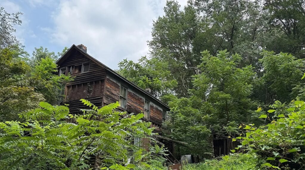 Dilapidated \$300k Maryland home overrun by feral cats and raccoons hits the market with boarded windows and warnings but nearly five acres of rural land hold the value.