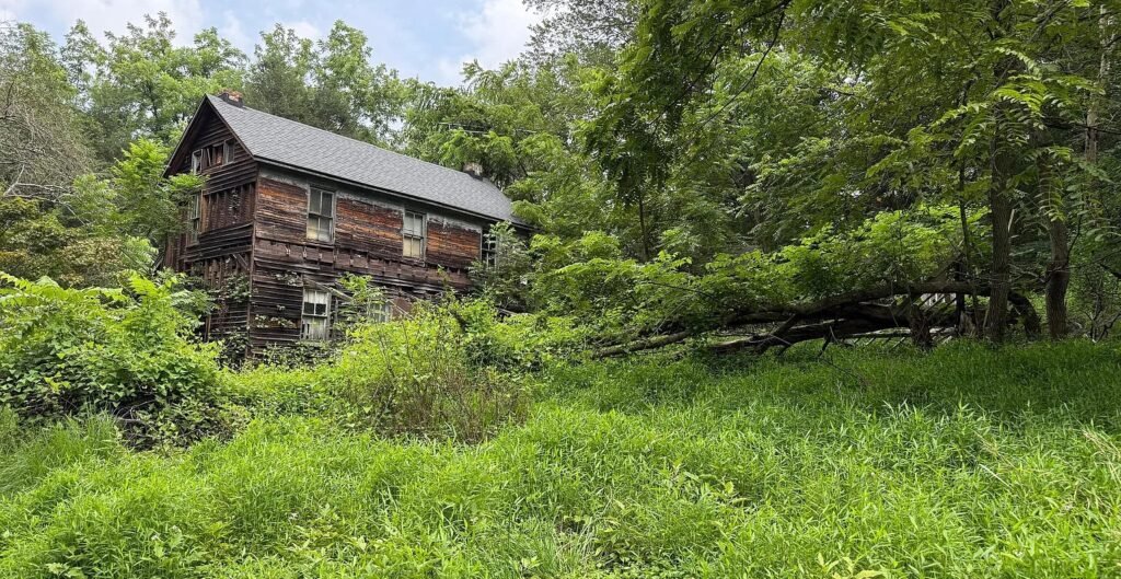 Dilapidated \$300k Maryland home overrun by feral cats and raccoons hits the market with boarded windows and warnings but nearly five acres of rural land hold the value.