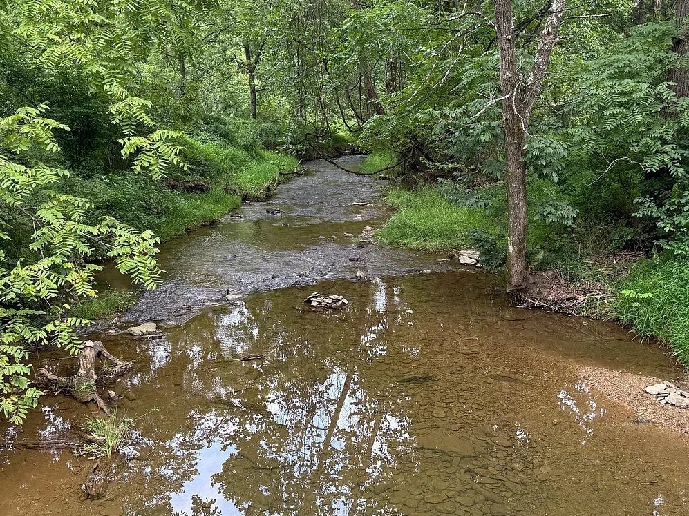 Dilapidated \$300k Maryland home overrun by feral cats and raccoons hits the market with boarded windows and warnings but nearly five acres of rural land hold the value.