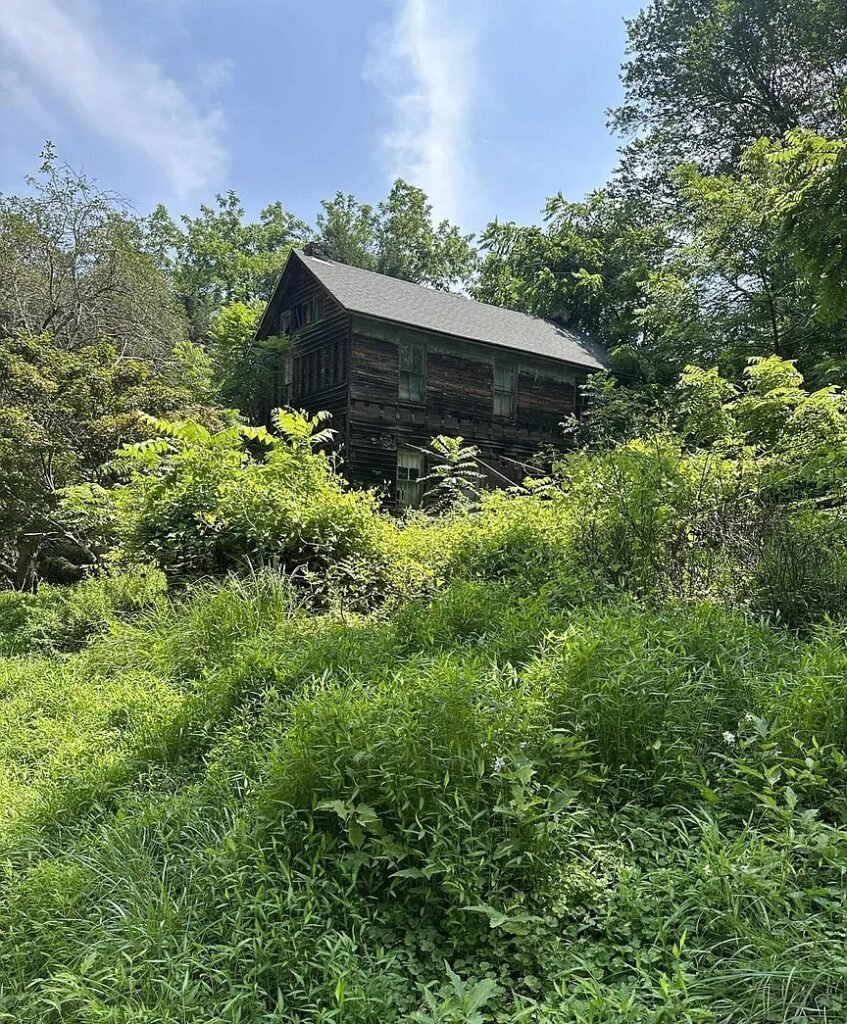 Dilapidated \$300k Maryland home overrun by feral cats and raccoons hits the market with boarded windows and warnings but nearly five acres of rural land hold the value.