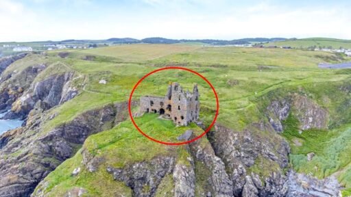 Dunskey Castle ruins on a cliff in Scotland with sea views to Northern Ireland are on sale for offers over £100,000 offering eight acres of land and historic allure.