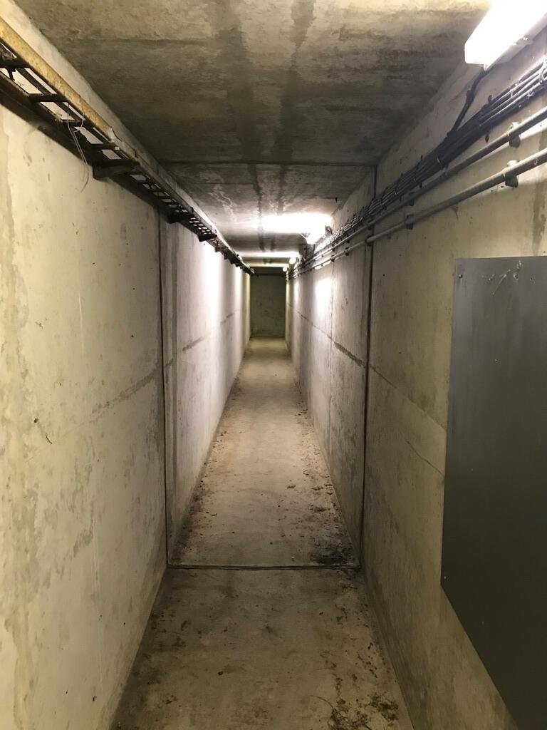 Six Cold War nuclear bunkers at RAF Greenham Common are up for sale, resembling the Teletubbies home, with blast doors, tunnels, and a history tied to film and music.