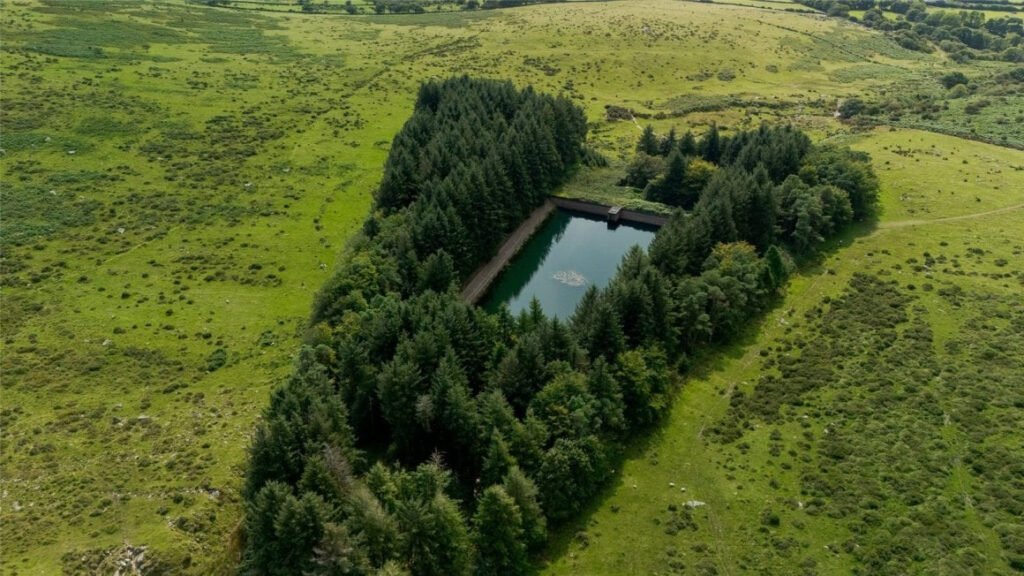 Scenic eight-acre woodland with Butterbrook reservoir near Dartmoor is on auction for £55,000. Historic 1916 site offers peaceful freehold land close to Ivybridge and Plymouth.