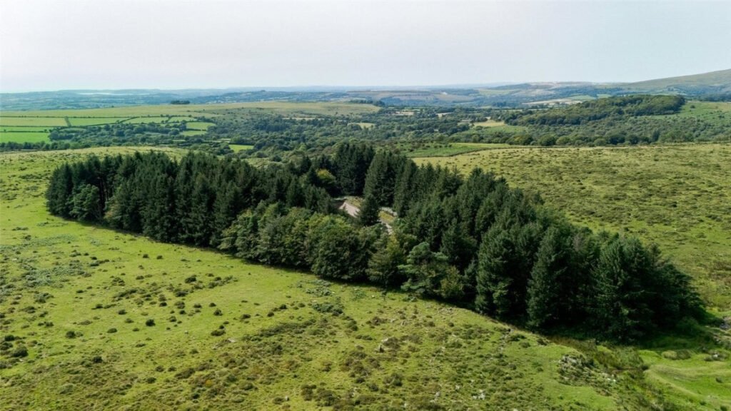 Scenic eight-acre woodland with Butterbrook reservoir near Dartmoor is on auction for £55,000. Historic 1916 site offers peaceful freehold land close to Ivybridge and Plymouth.