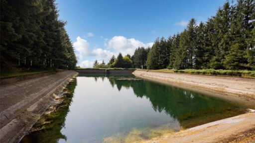 Scenic eight-acre woodland with Butterbrook reservoir near Dartmoor is on auction for £55,000. Historic 1916 site offers peaceful freehold land close to Ivybridge and Plymouth.