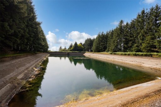 Scenic eight-acre woodland with Butterbrook reservoir near Dartmoor is on auction for £55,000. Historic 1916 site offers peaceful freehold land close to Ivybridge and Plymouth.