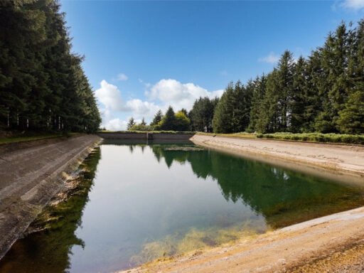 Scenic eight-acre woodland with Butterbrook reservoir near Dartmoor is on auction for £55,000. Historic 1916 site offers peaceful freehold land close to Ivybridge and Plymouth.