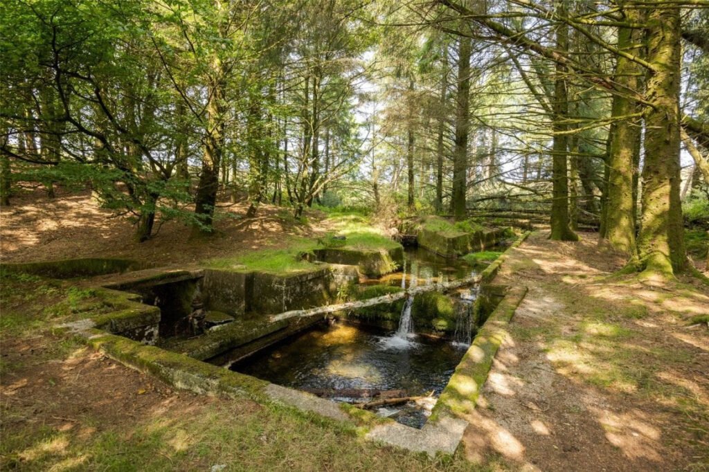 Scenic eight-acre woodland with Butterbrook reservoir near Dartmoor is on auction for £55,000. Historic 1916 site offers peaceful freehold land close to Ivybridge and Plymouth.