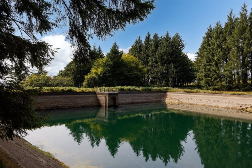 Scenic eight-acre woodland with Butterbrook reservoir near Dartmoor is on auction for £55,000. Historic 1916 site offers peaceful freehold land close to Ivybridge and Plymouth.