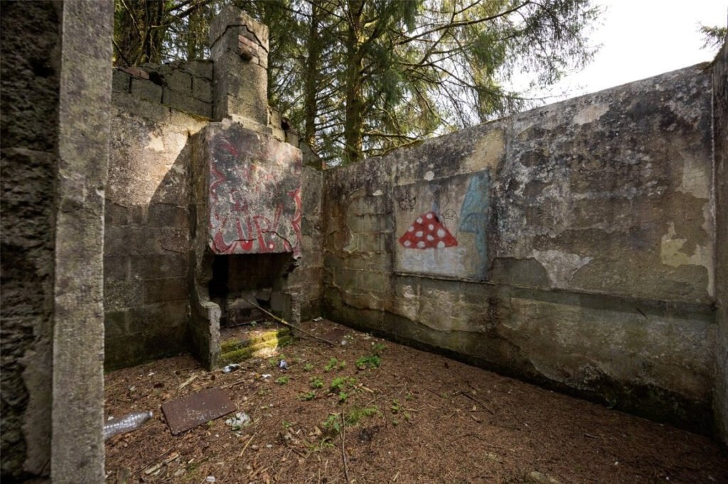Scenic eight-acre woodland with Butterbrook reservoir near Dartmoor is on auction for £55,000. Historic 1916 site offers peaceful freehold land close to Ivybridge and Plymouth.