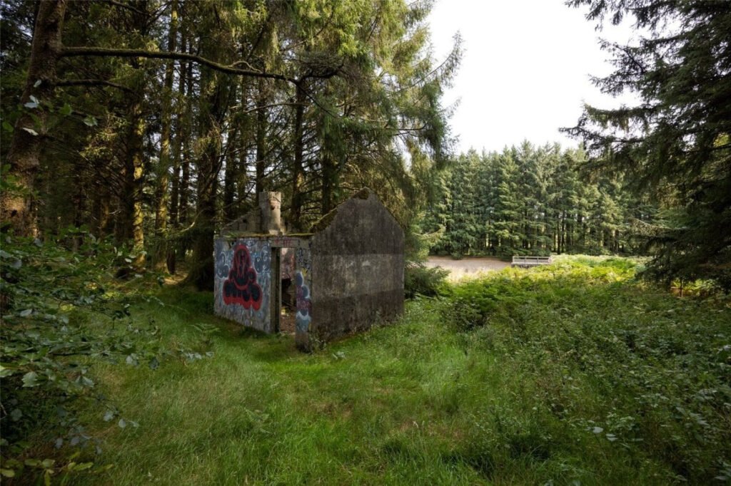 Scenic eight-acre woodland with Butterbrook reservoir near Dartmoor is on auction for £55,000. Historic 1916 site offers peaceful freehold land close to Ivybridge and Plymouth.