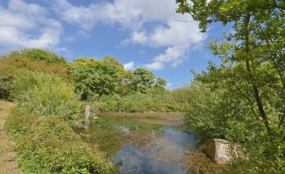 Charming £100,000 wooden shepherd’s hut near Penryn offers meadowland, pond, log fire and stunning countryside views, ideal as a retreat, glamping or holiday let.