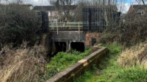 Unusual plot in Romsey with stream leading to Tadburn Lake up for auction at £4,950. Scenic freehold land near nature reserve offers potential uses subject to planning.