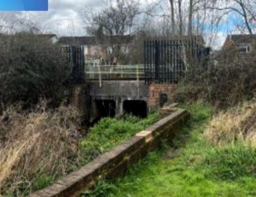 Unusual plot in Romsey with stream leading to Tadburn Lake up for auction at £4,950. Scenic freehold land near nature reserve offers potential uses subject to planning.