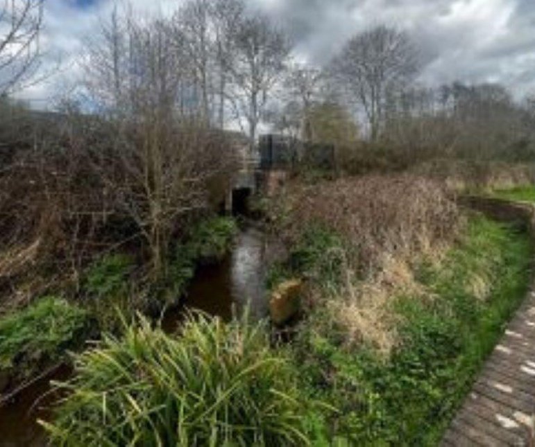 Unusual plot in Romsey with stream leading to Tadburn Lake up for auction at £4,950. Scenic freehold land near nature reserve offers potential uses subject to planning.