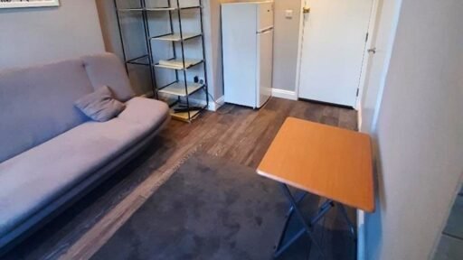 A £1,000-a-month studio in Harlesden, north London, offers a sofa bed instead of a real bed. Recently refurbished, it includes shared kitchen access and a large garden.