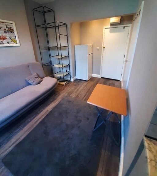 A £1,000-a-month studio in Harlesden, north London, offers a sofa bed instead of a real bed. Recently refurbished, it includes shared kitchen access and a large garden.
