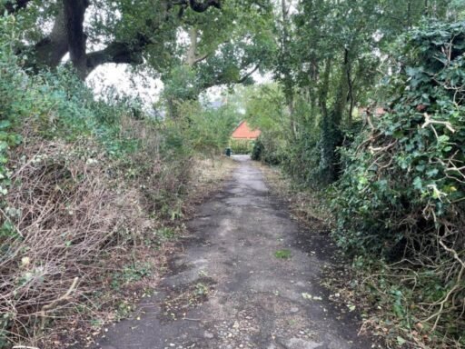 A 60-yard public footpath in Norwich is up for auction for £2,000. The new owner must maintain the walkway connecting locals to a park near Eaton Golf Club.